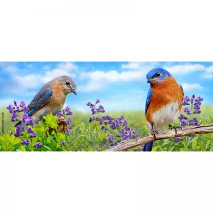Summer bluebird pair keyholder