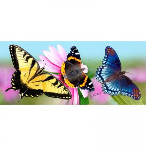 Colorful butterflies keyholder