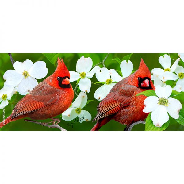Cardinals with dogwoods keyholder