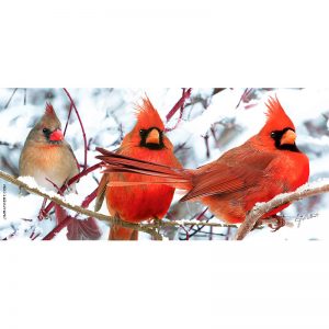 Cardinals in snow keyholder