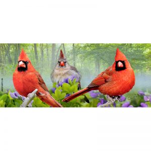 Cardinals in foggy summer woodland keyholder
