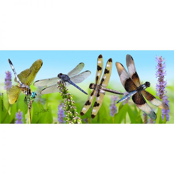 Four dragonflies keyholder