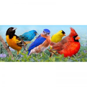Colorful summer birds in morning meadow keyholder