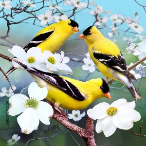 American goldfinches with flowering dogwoods potholder