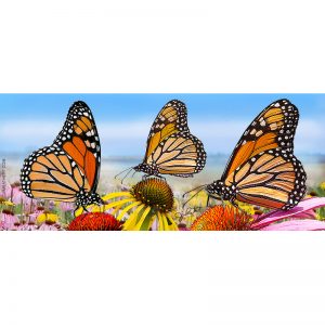 Monarch butterflies on coneflowers keyholder