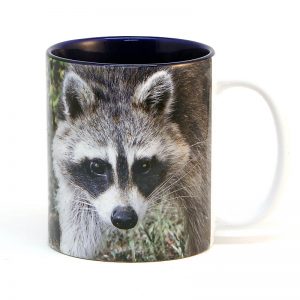 Raccoon mug 15 oz. blue interior