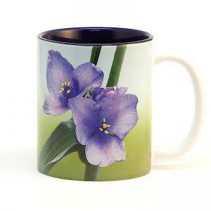Spiderwort flowers mug 15 oz. blue interior