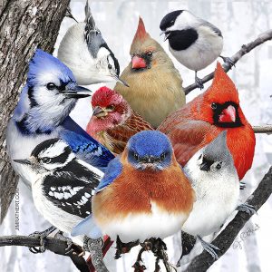 Colorful winter birds in snow potholder