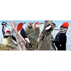 Woodpeckers keyholder